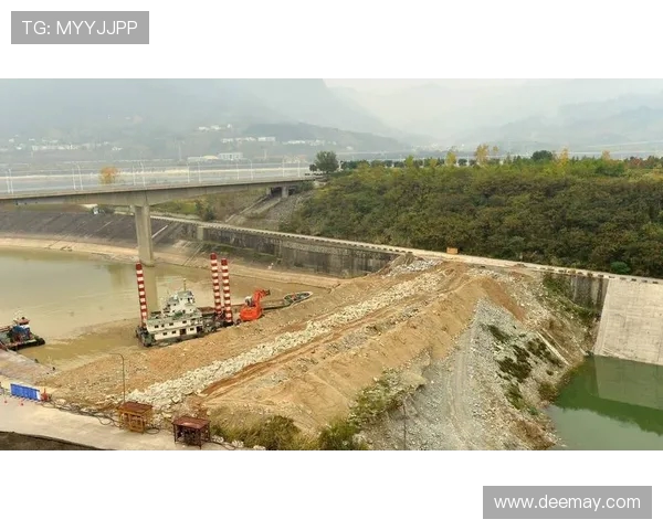 挖掘机跨海大桥沉箱基础挖掘